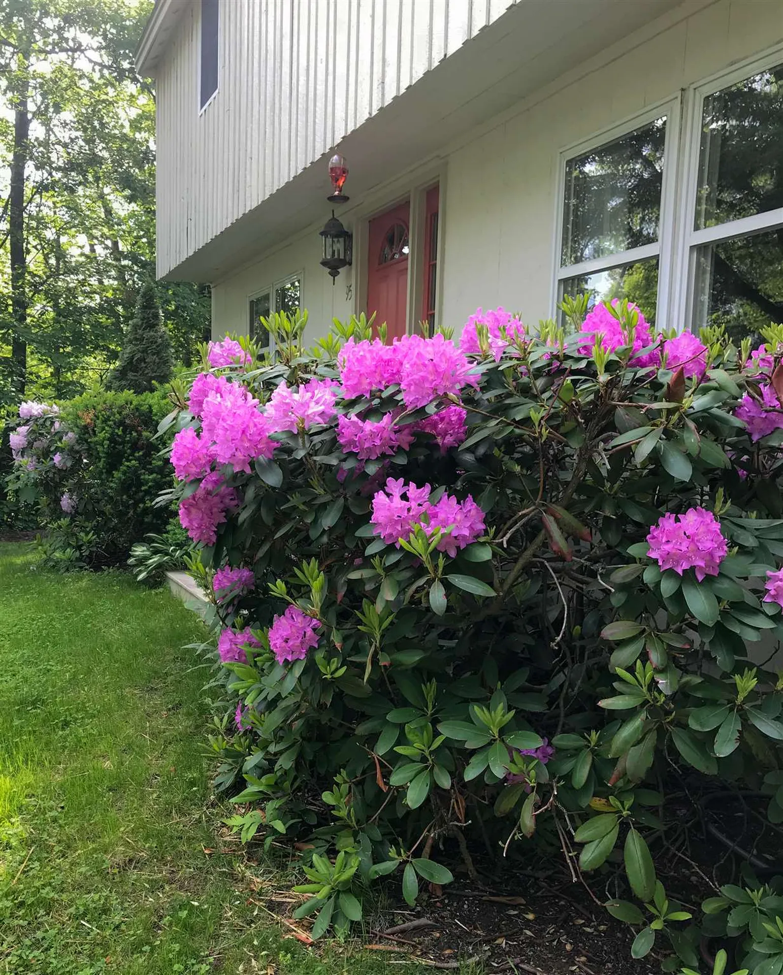 954 Parker Mountain Road Strafford NH 03884