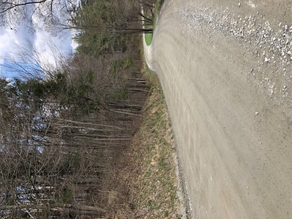 00 Vt Route 100b, Freeman & Old Gulf Road Moretown VT 05660