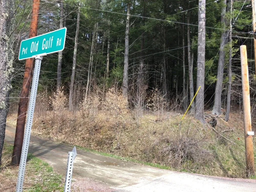 00 Vt Route 100b, Freeman & Old Gulf Road Moretown VT 05660