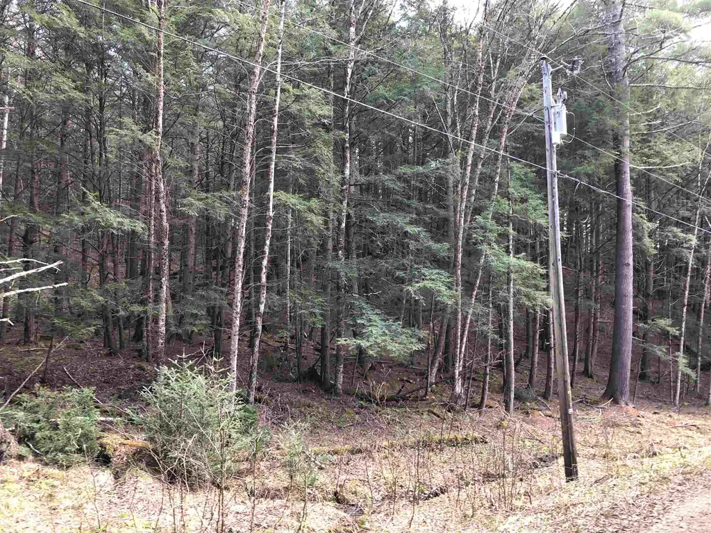 00 Vt Route 100b, Freeman & Old Gulf Road Moretown VT 05660