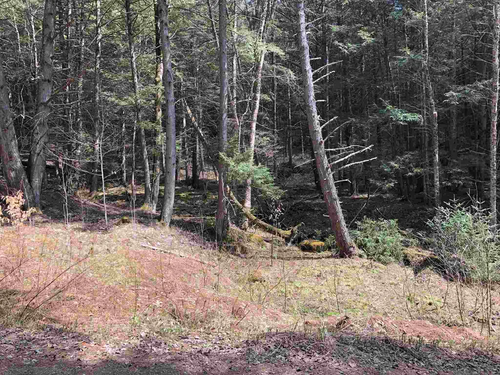 00 Vt Route 100b, Freeman & Old Gulf Road Moretown VT 05660