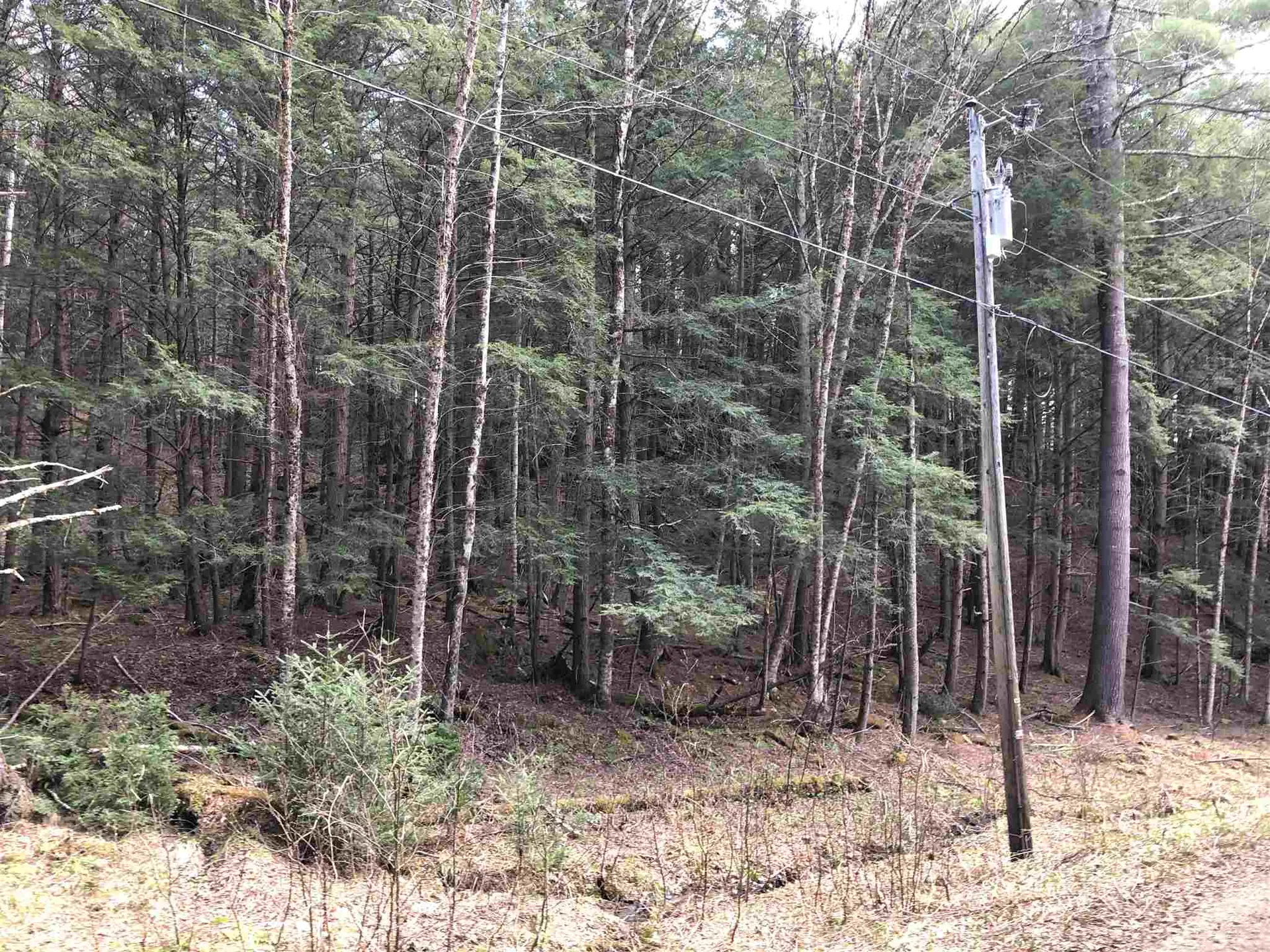 00 Vt Route 100b, Freeman & Old Gulf Road Moretown VT 05660