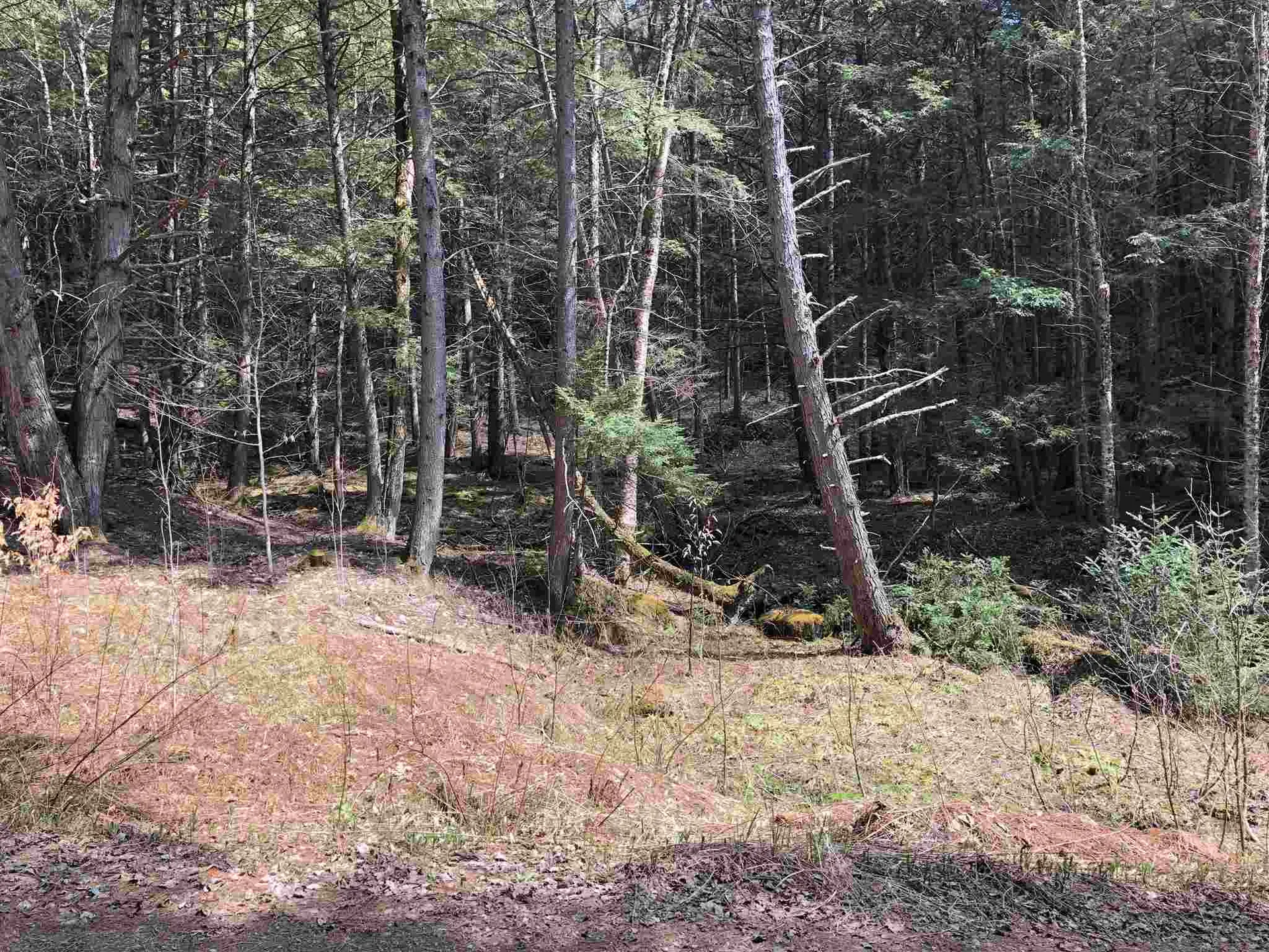 00 Vt Route 100b, Freeman & Old Gulf Road Moretown VT 05660