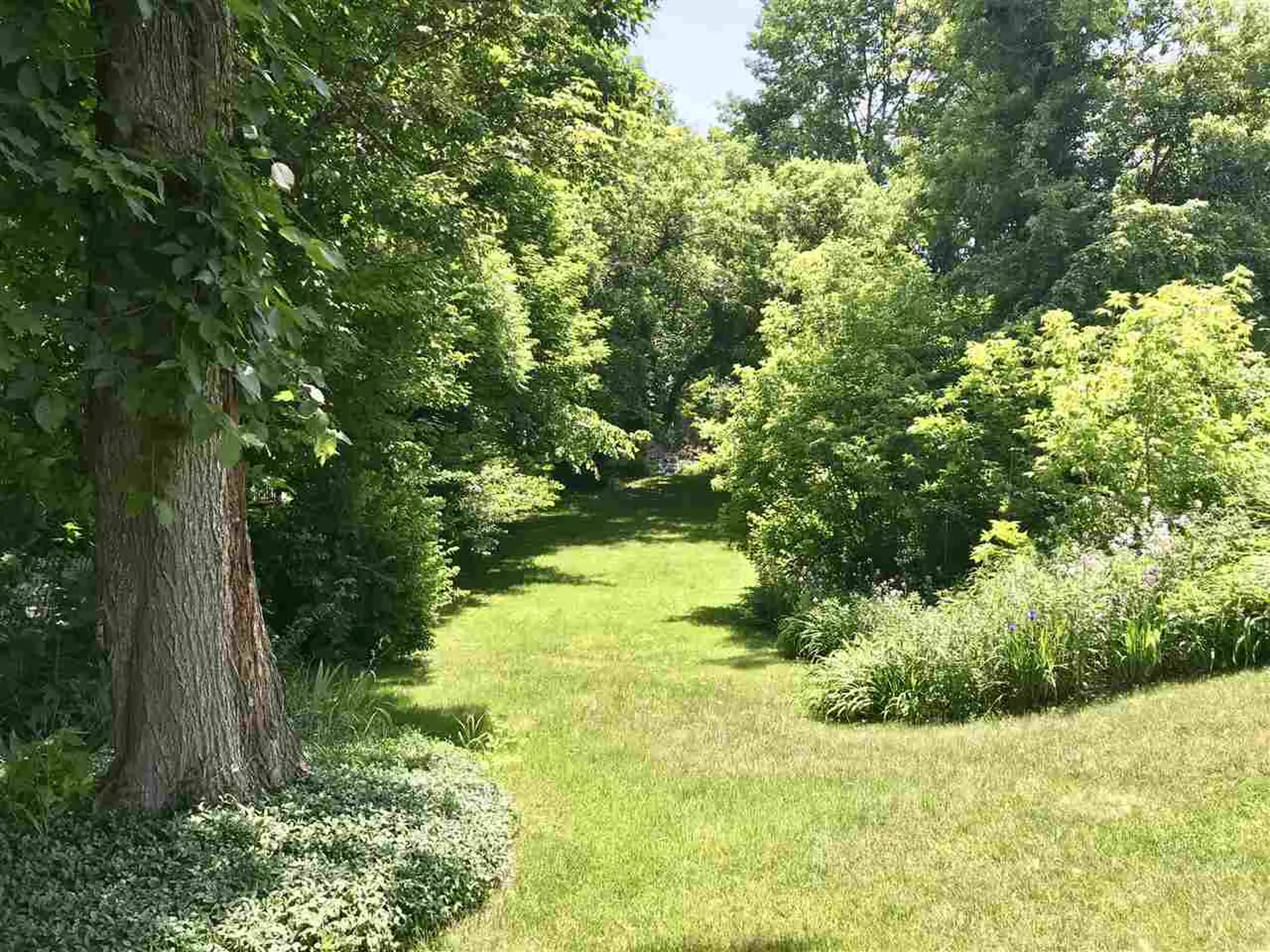 5 Mountain Avenue Woodstock VT 05091