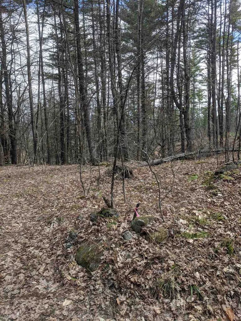 00 Potato Hill Road Thetford VT 05075