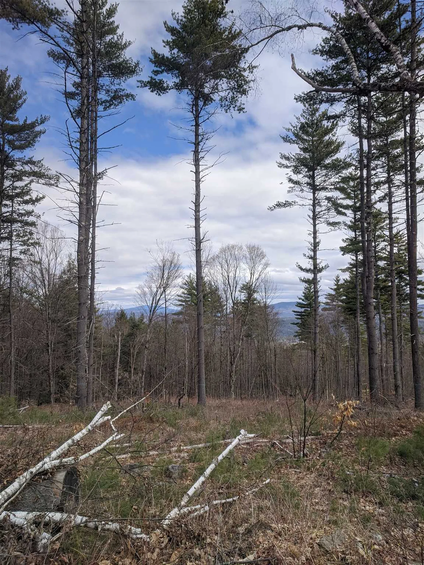 00 Potato Hill Road Thetford VT 05075