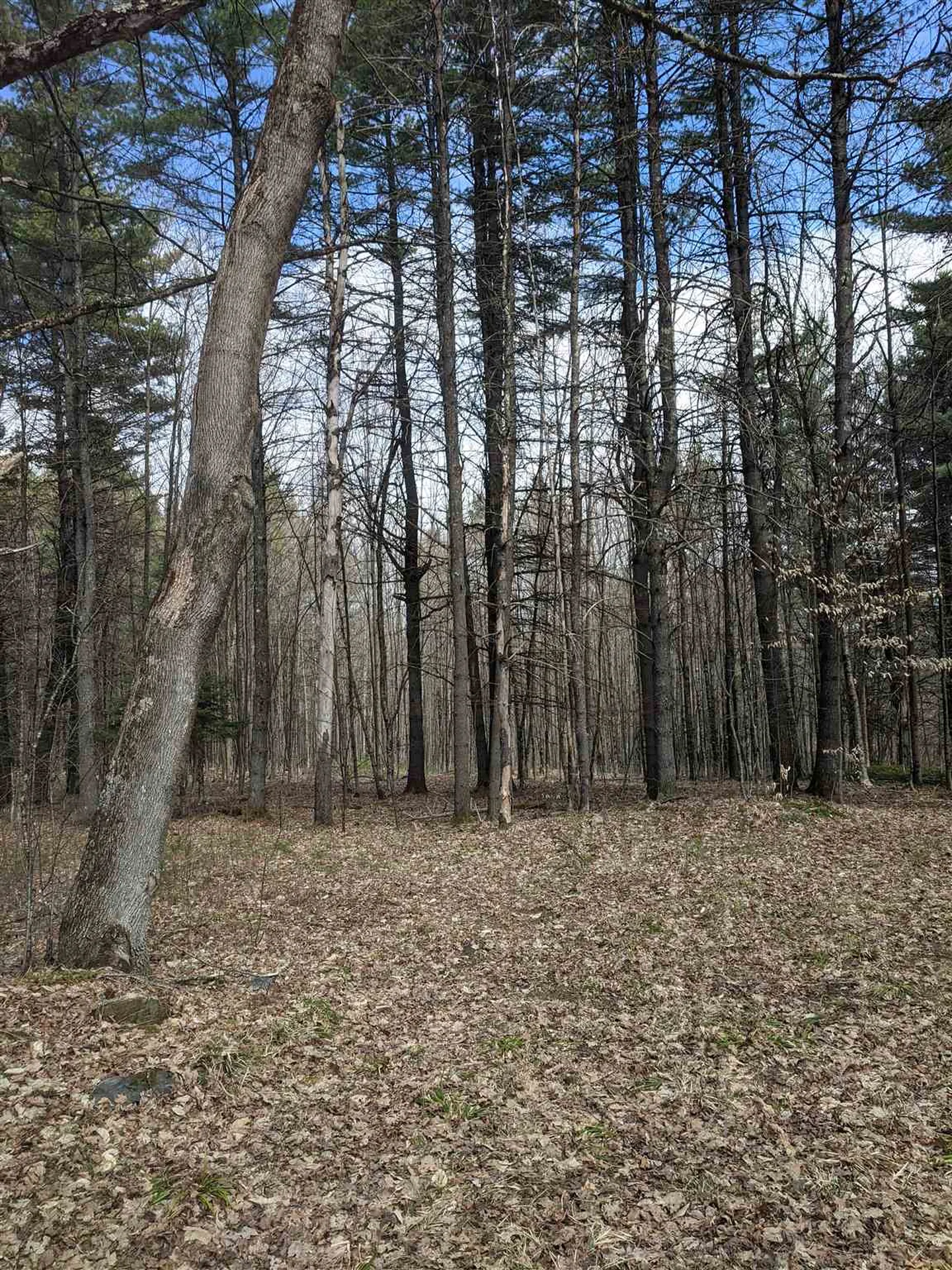 00 Potato Hill Road Thetford VT 05075