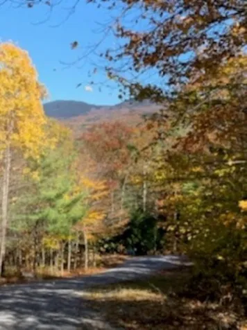 Lot 7 North Road Sutton NH 03260