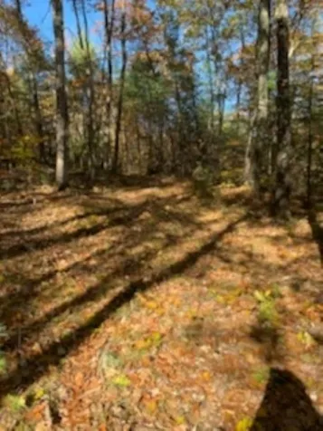 Lot 7 North Road Sutton NH 03260
