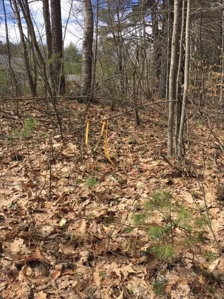 91 Duncan Lake Road Ossipee NH 03864