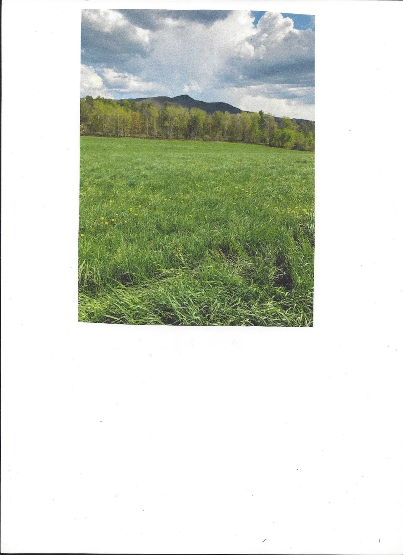 111 Joslin Hill Road Waitsfield VT 05673