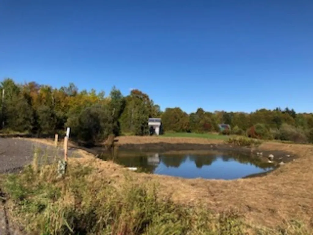 1455 Coits Pond Road Cabot VT 05647