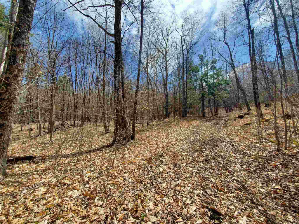56 Alger Brook Road Strafford VT 05072