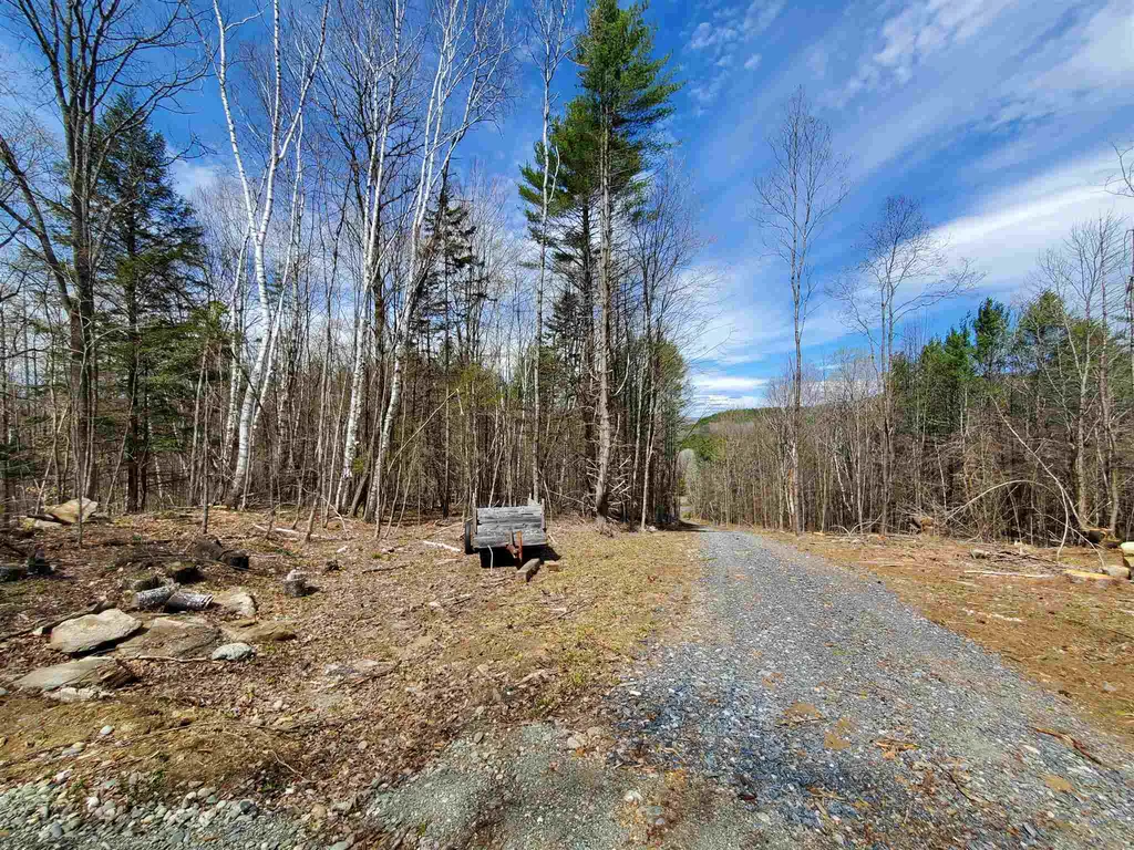 56 Alger Brook Road Strafford VT 05072
