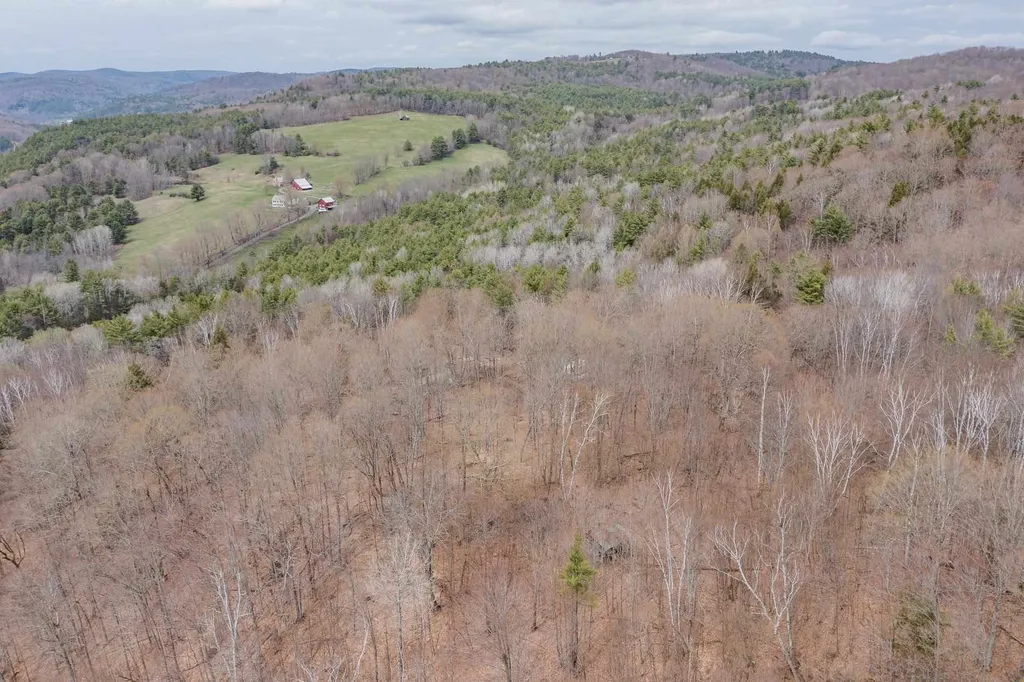 56 Alger Brook Road Strafford VT 05072