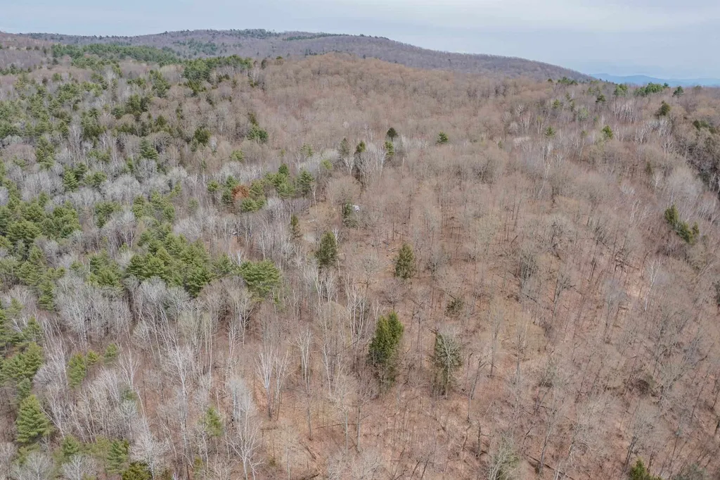 56 Alger Brook Road Strafford VT 05072