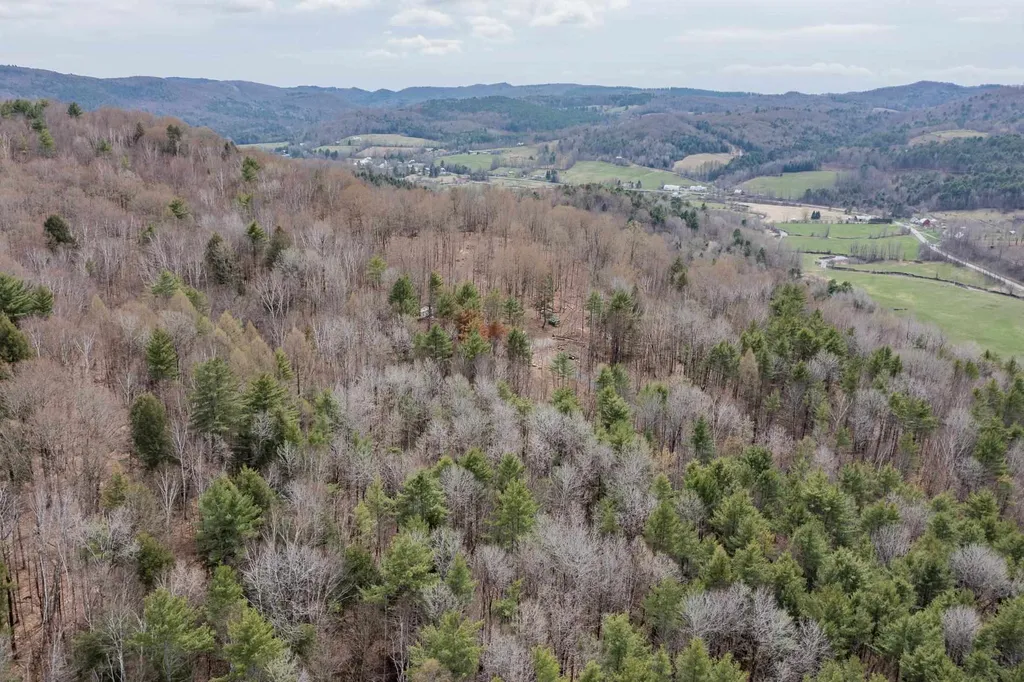 56 Alger Brook Road Strafford VT 05072