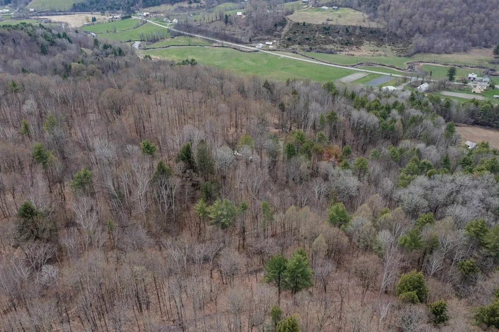 56 Alger Brook Road Strafford VT 05072