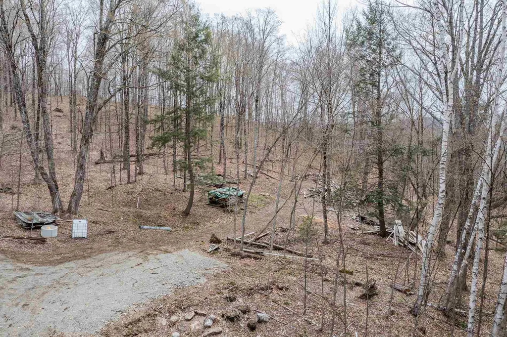 56 Alger Brook Road Strafford VT 05072