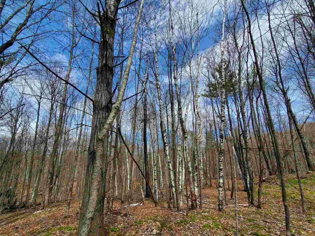 56 Alger Brook Road Strafford VT 05072