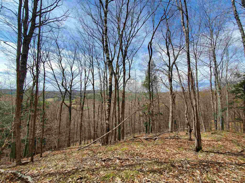 56 Alger Brook Road Strafford VT 05072