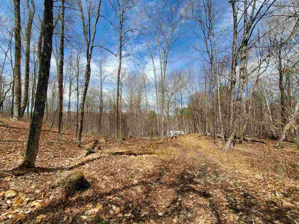 56 Alger Brook Road Strafford VT 05072