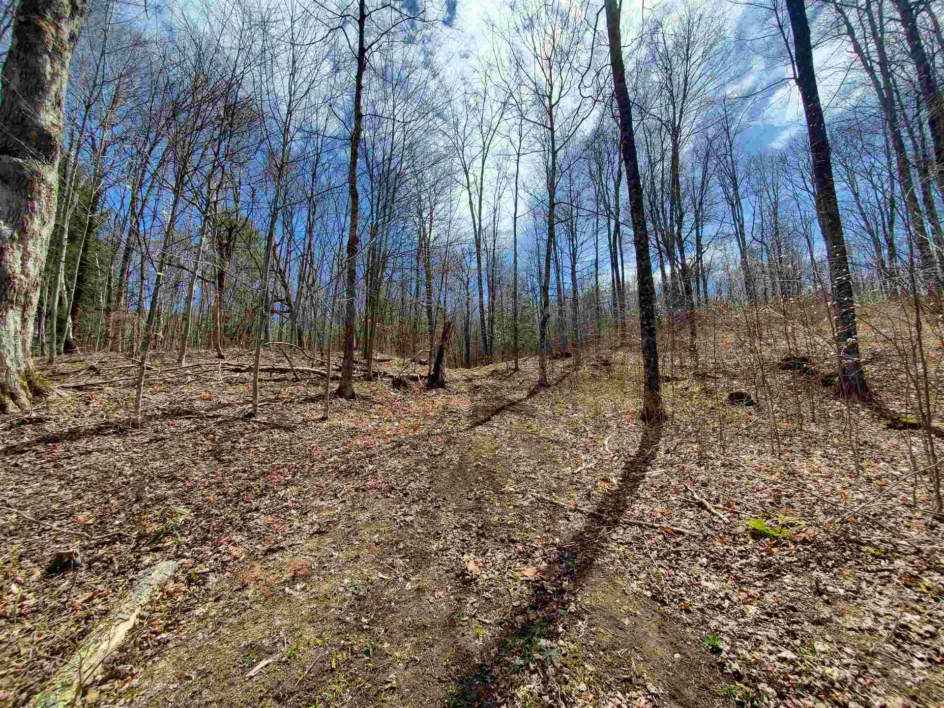56 Alger Brook Road Strafford VT 05072