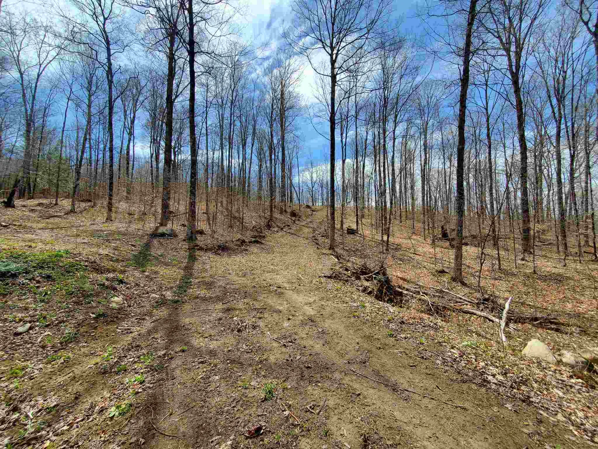 56 Alger Brook Road Strafford VT 05072