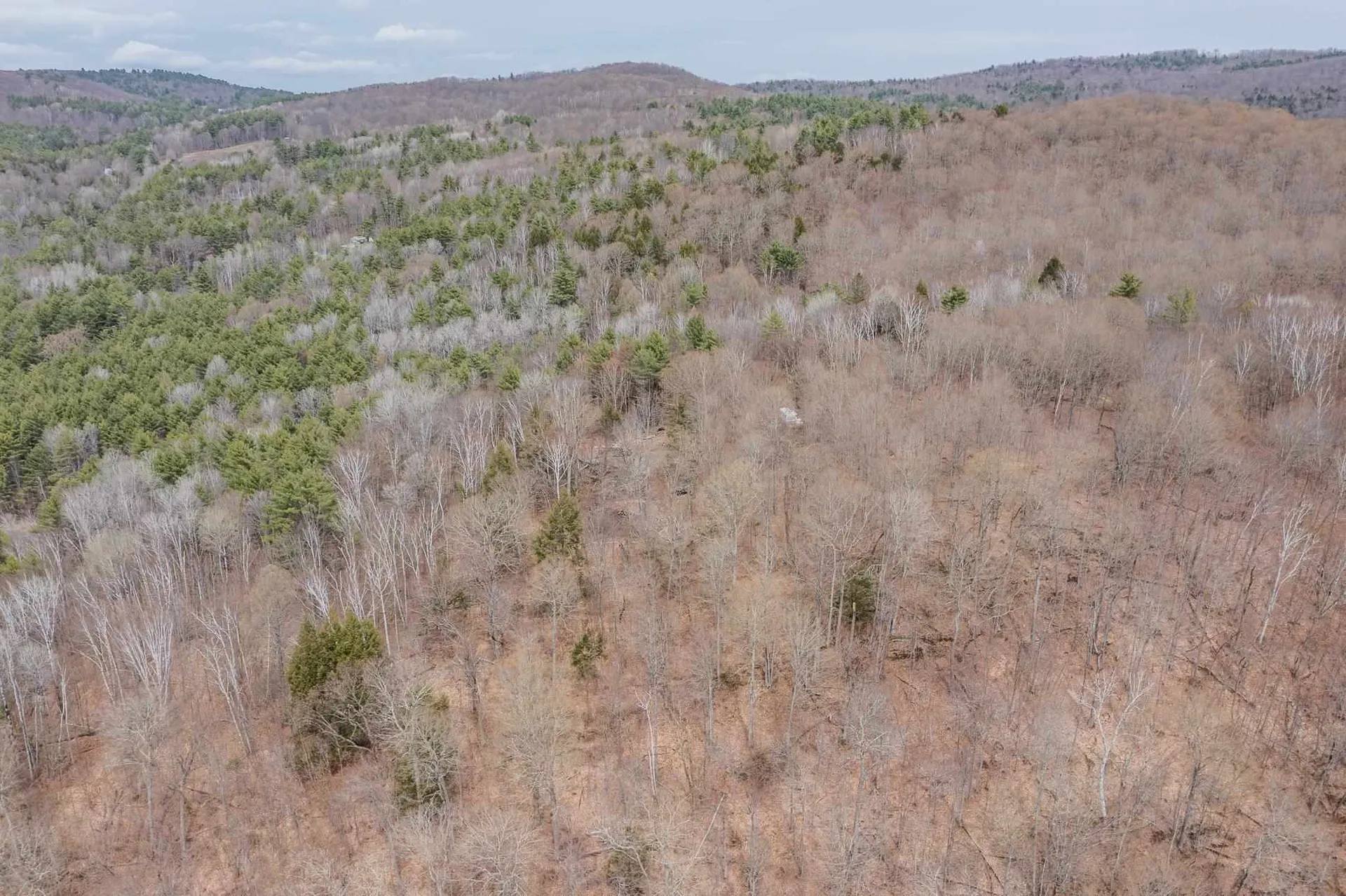 56 Alger Brook Road Strafford VT 05072