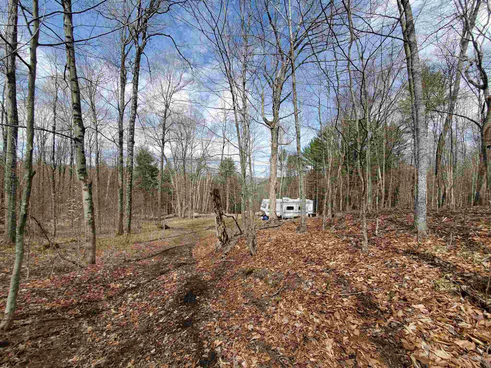 56 Alger Brook Road Strafford VT 05072