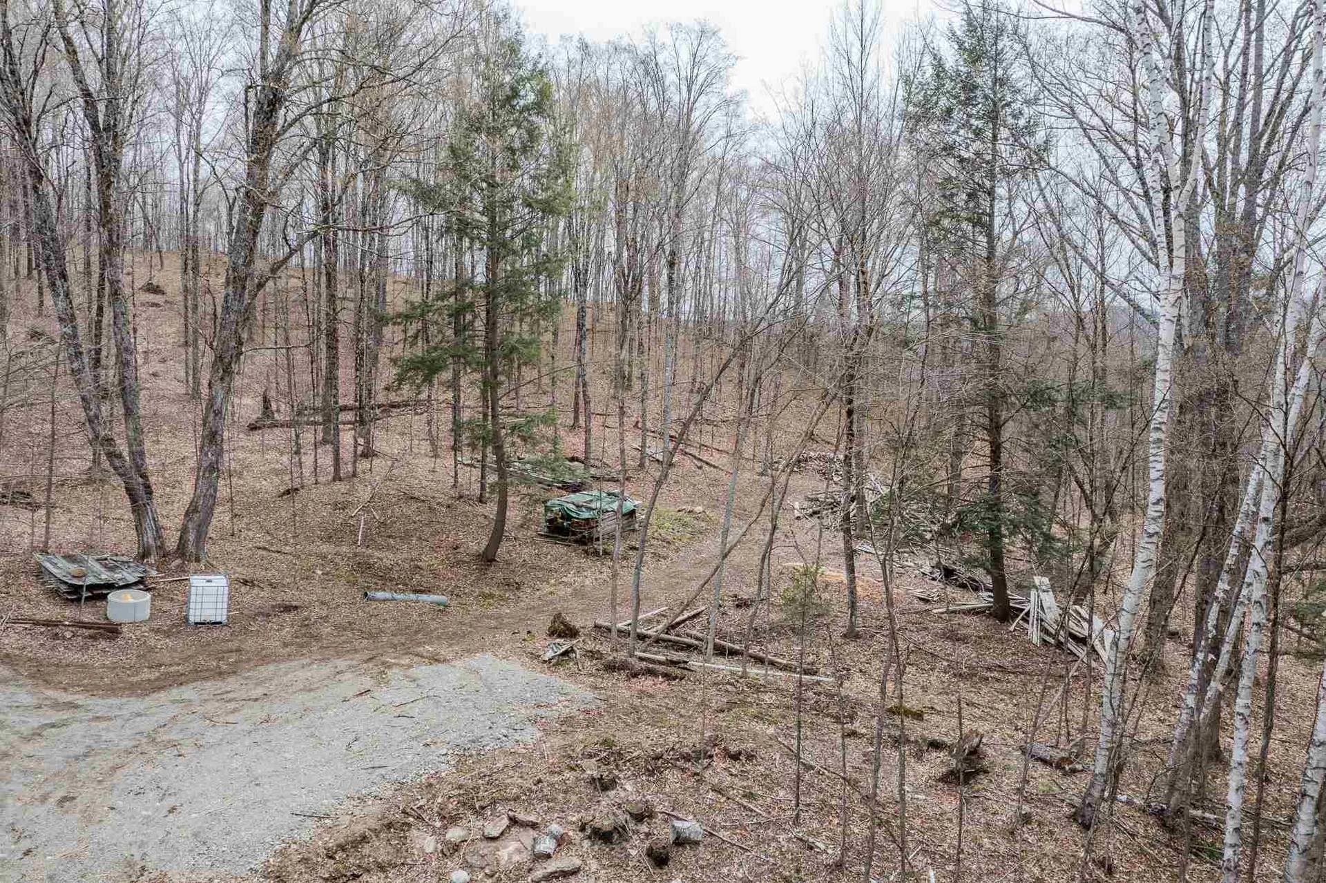56 Alger Brook Road Strafford VT 05072