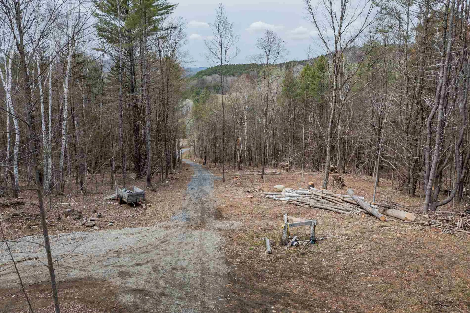 56 Alger Brook Road Strafford VT 05072