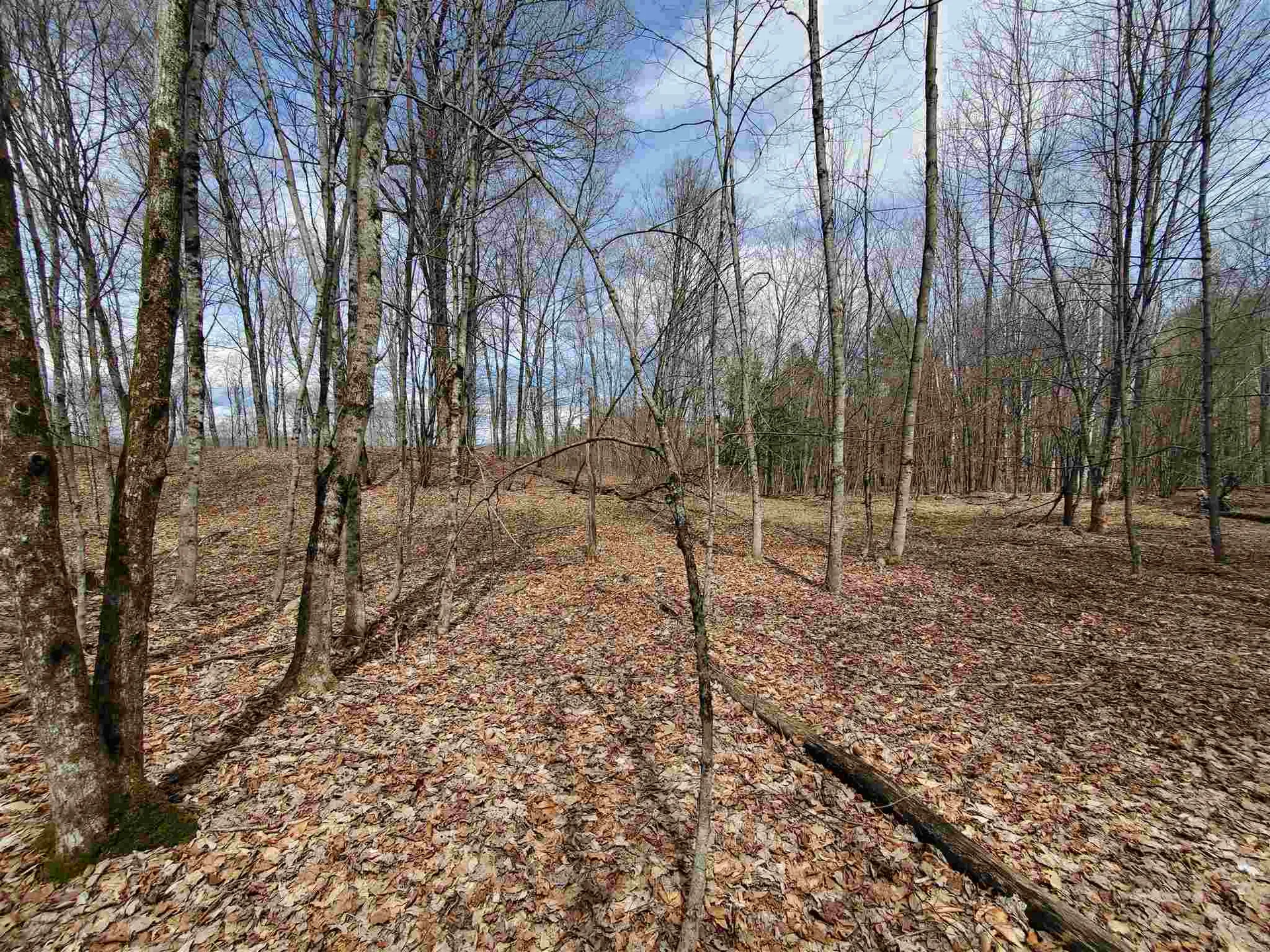 56 Alger Brook Road Strafford VT 05072