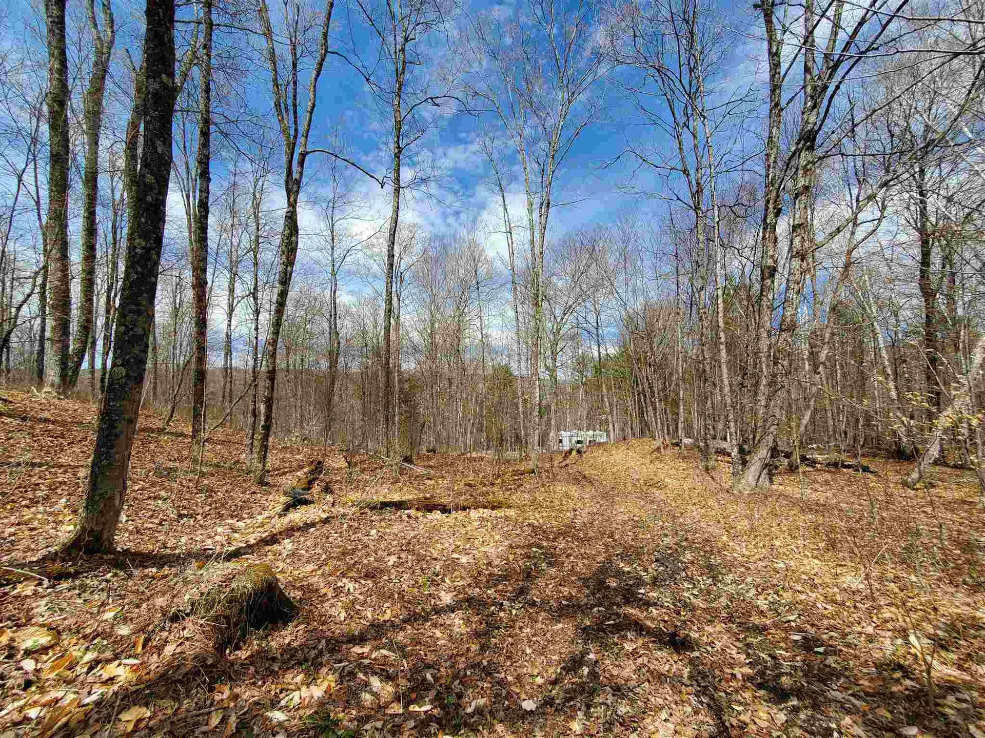 56 Alger Brook Road Strafford VT 05072