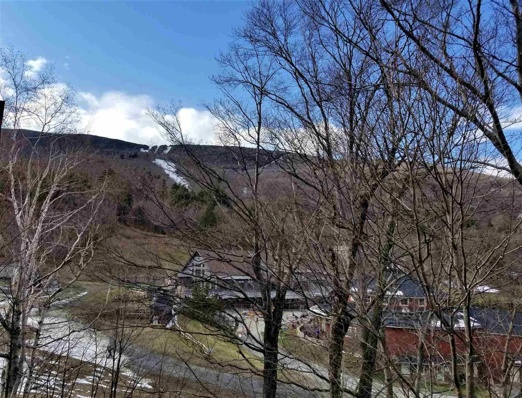 170 Snow Creek Road Warren VT 05674