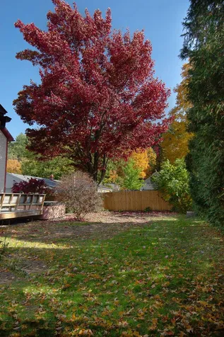 24 Laurel Street Brattleboro VT 05301