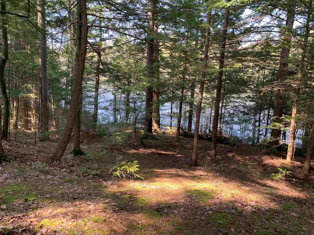 53 Anderson Pond Road Grantham NH 03753