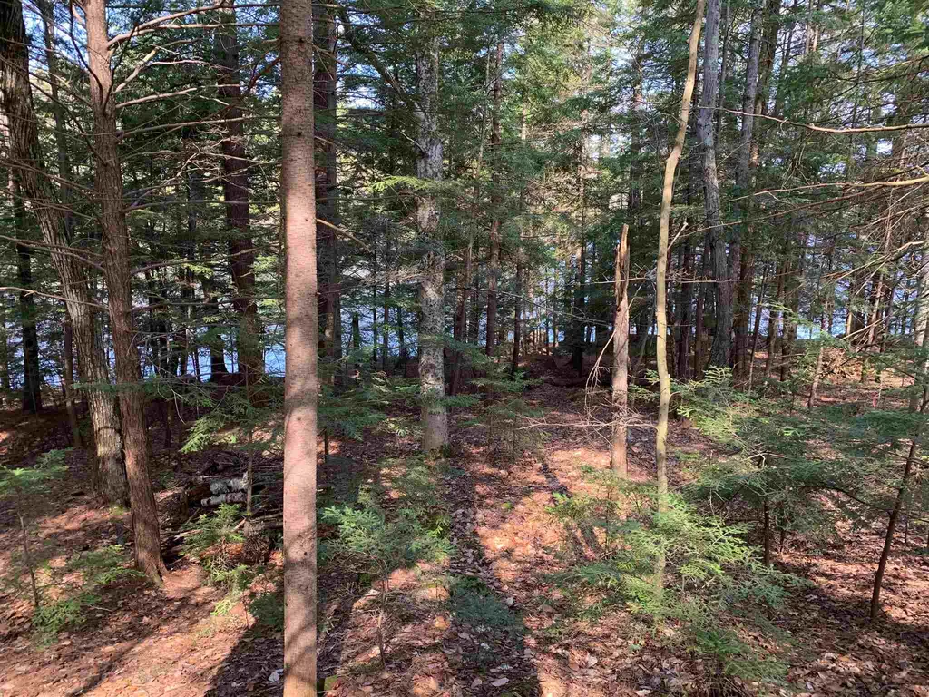 53 Anderson Pond Road Grantham NH 03753