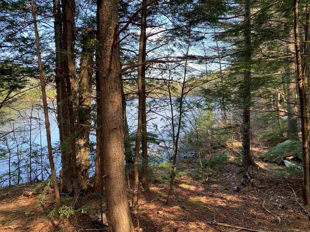 53 Anderson Pond Road Grantham NH 03753