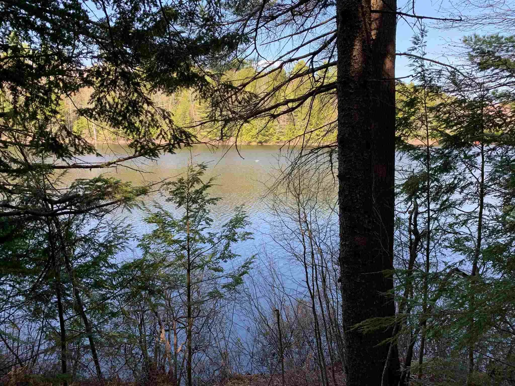 53 Anderson Pond Road Grantham NH 03753