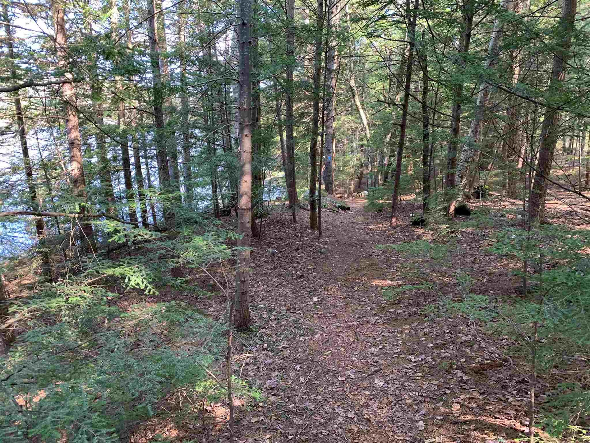 53 Anderson Pond Road Grantham NH 03753