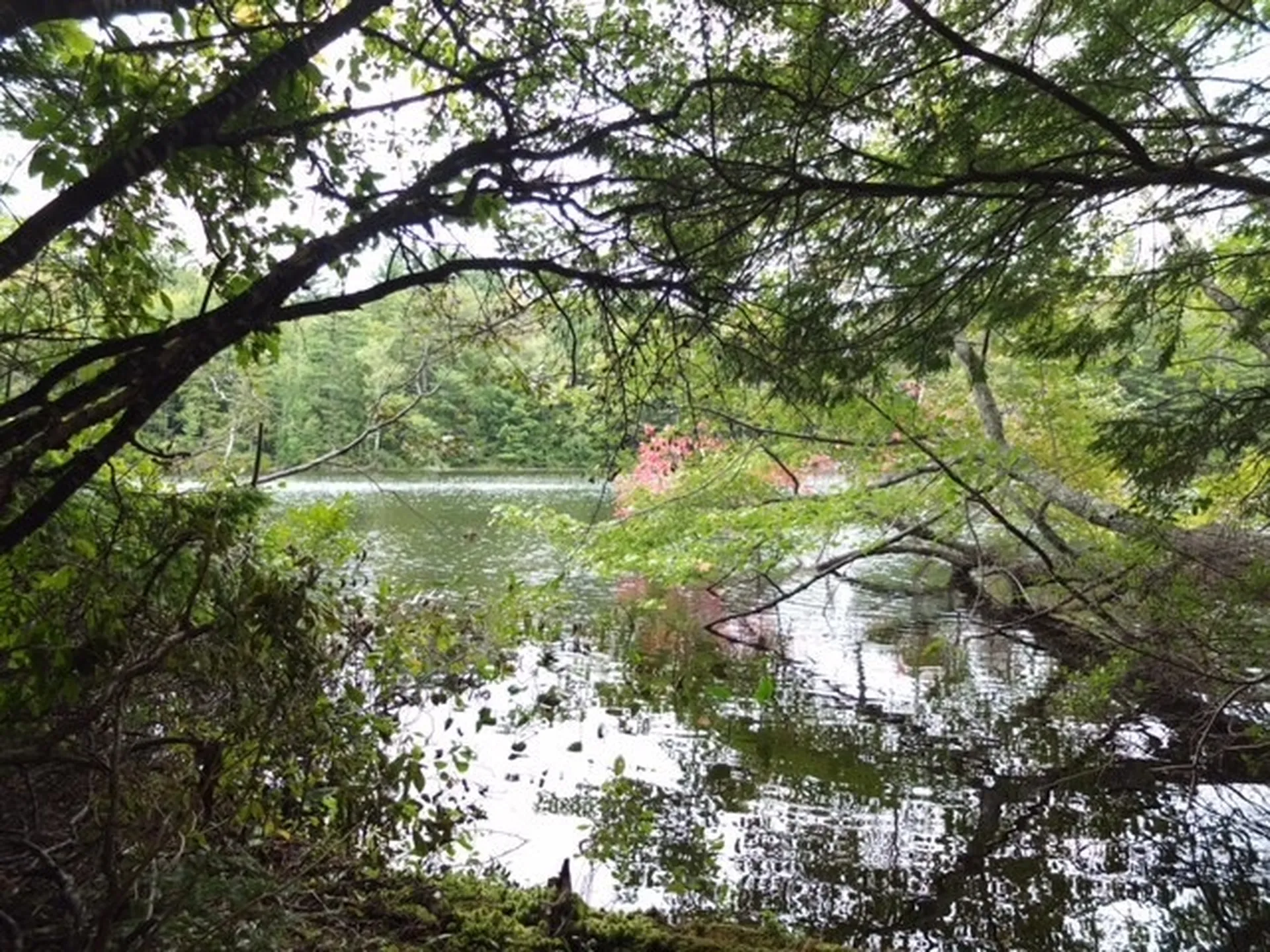 53 Anderson Pond Road Grantham NH 03753