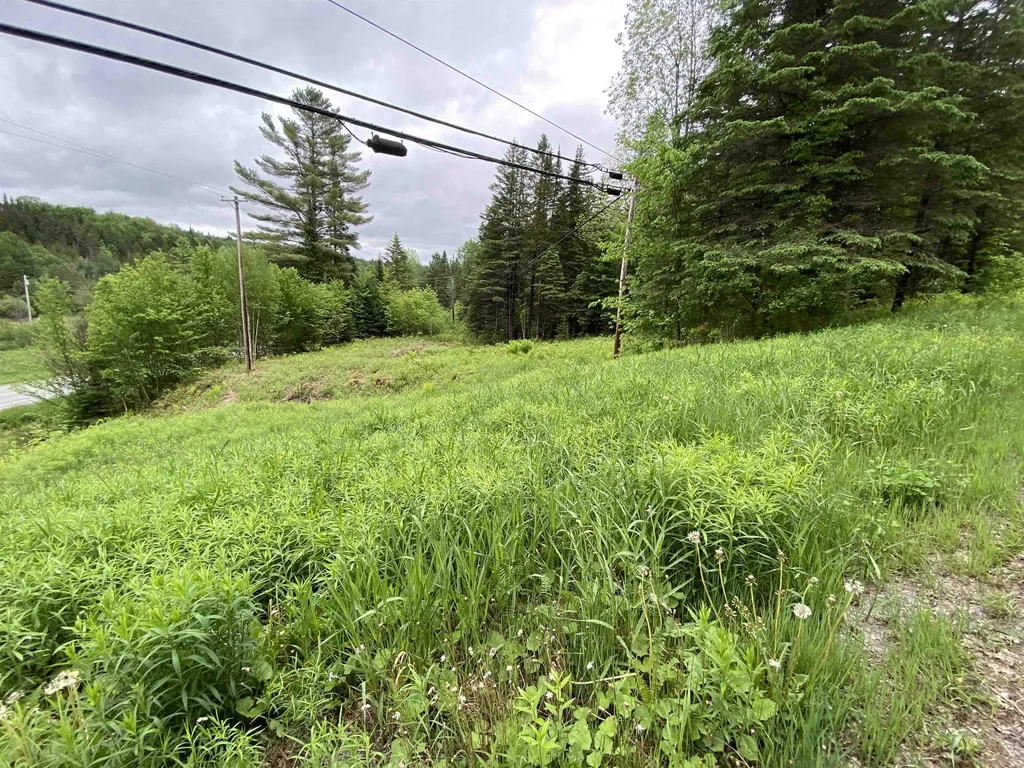 00000 Route 15 Hardwick VT 05843