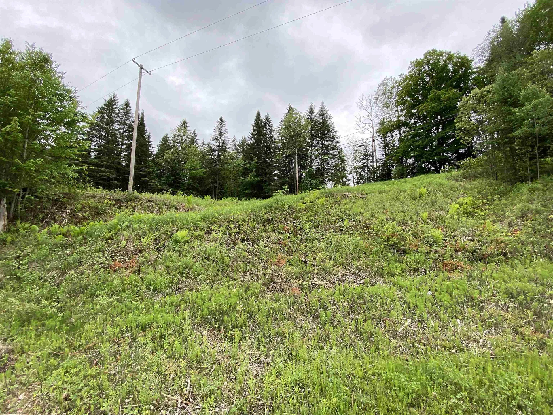 00000 Route 15 Hardwick VT 05843