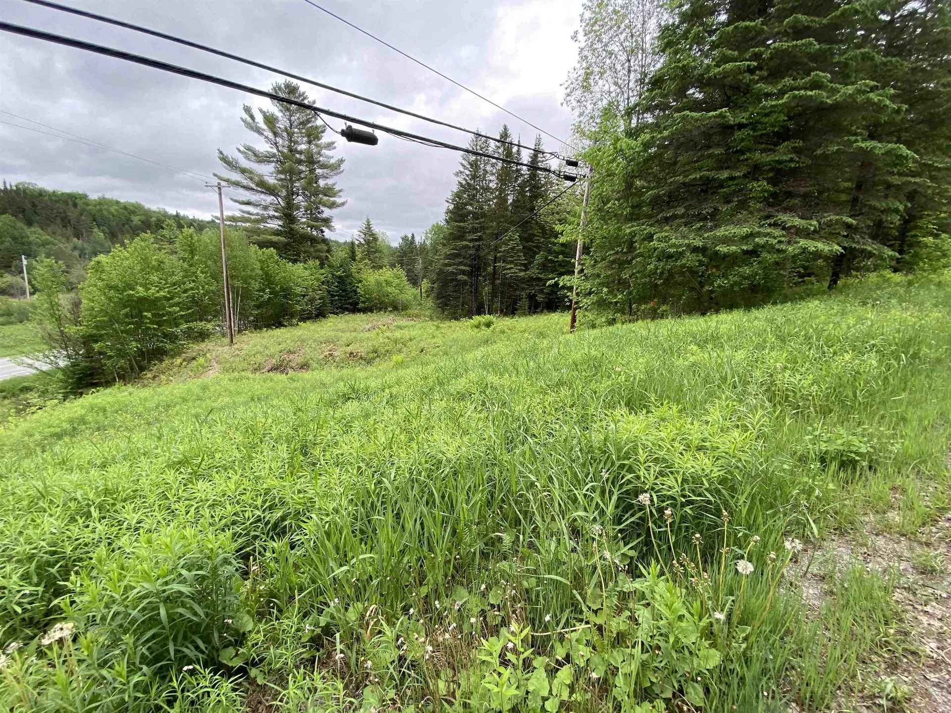 00000 Route 15 Hardwick VT 05843