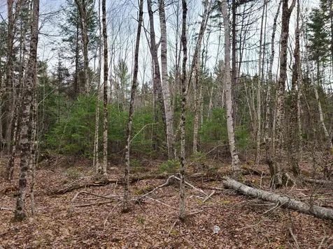 Lot 30 Franconia Mountains Road Franconia NH 03580
