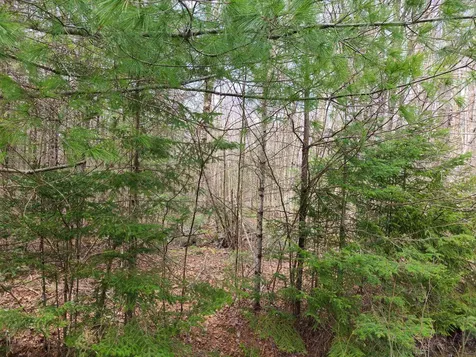 Lot 30 Franconia Mountains Road Franconia NH 03580