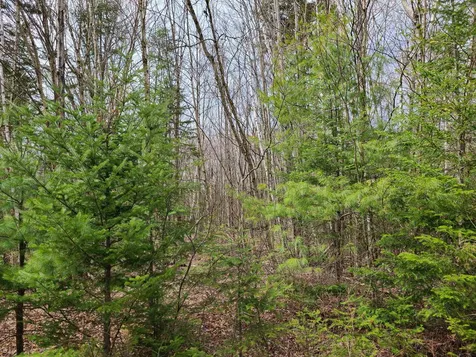 Lot 30 Franconia Mountains Road Franconia NH 03580