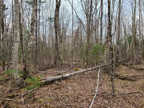 Lot 30 Franconia Mountains Road Franconia NH 03580