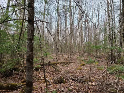 Lot 30 Franconia Mountains Road Franconia NH 03580